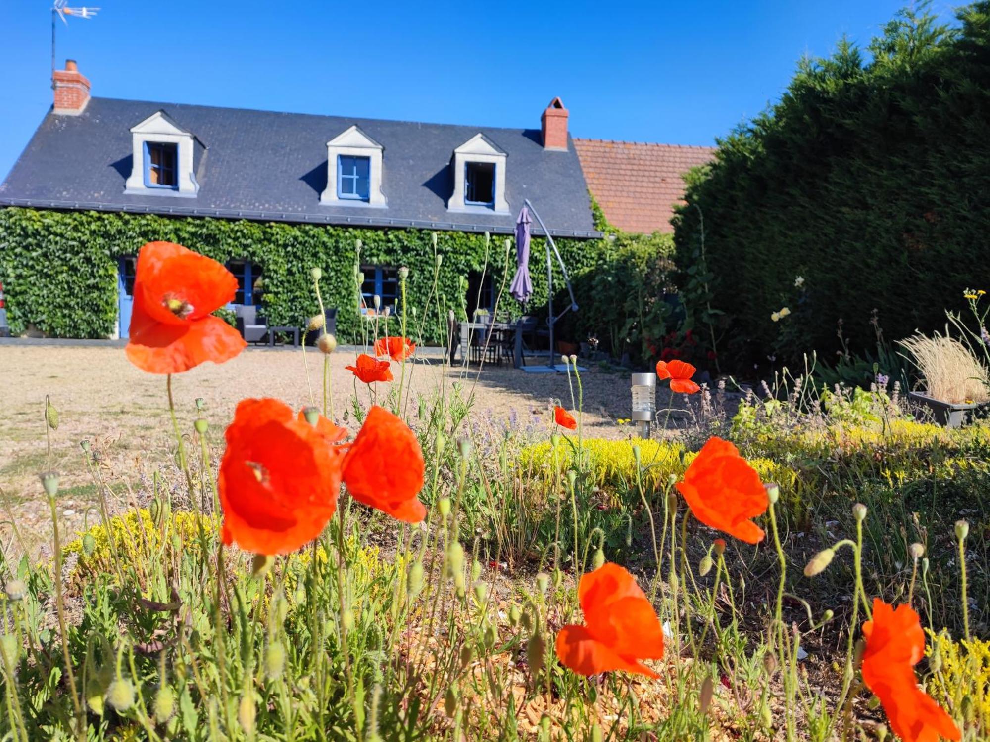 Le Clos Champetre Longué Екстериор снимка